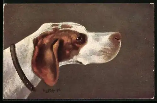 Künstler-AK Pointer, Jagdhund mit Halsband