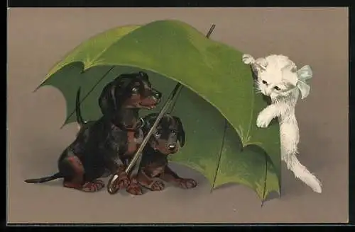Lithographie Rettungsschirm mal anders, Zwei Dackelwelpen geschützt unter Regenschirm vor Katze