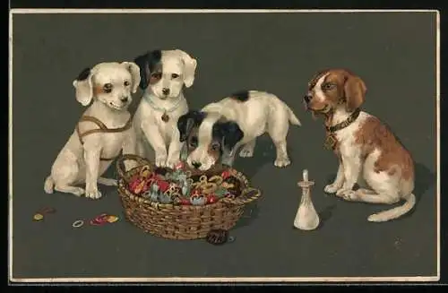 AK Kleine Terrier beim Spiel mit bunten Ringen