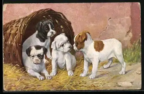 AK niedliche Hundewelpen haben ihren Korb umgeworfen