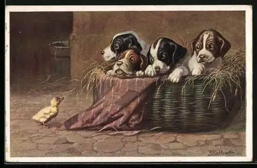 Künstler-AK Wally Fialkowska: Hundewelpen im Korb, Küken