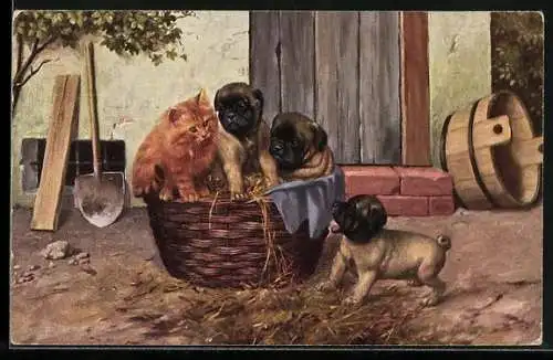 AK Tierfreundschaft, Hundewelpen mit einer Katze in einem Korb