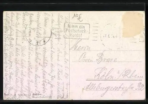 AK Tierfreundschaft, Hundewelpen mit einer Katze in einem Korb