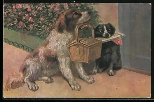 AK zwei Hunde mit Korb und Zeitung im Maul