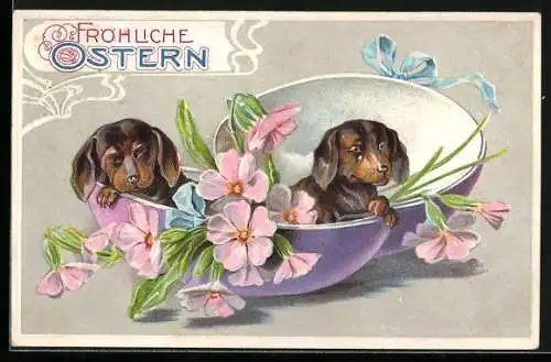AK niedliche Dackel blicken aus Ostereierschalen