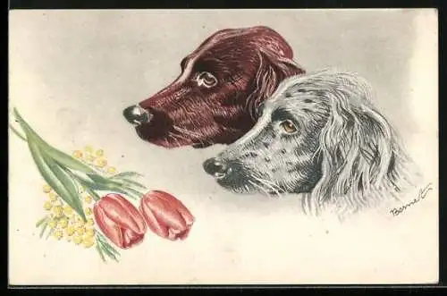 AK Zwei Dackel von der Seite gesehen, Tulpen