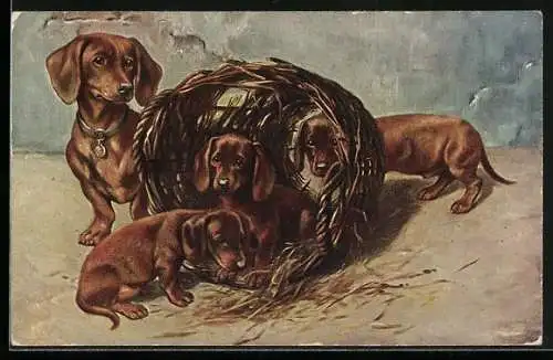 AK Junge Dackel spielen mit Weidenkorb