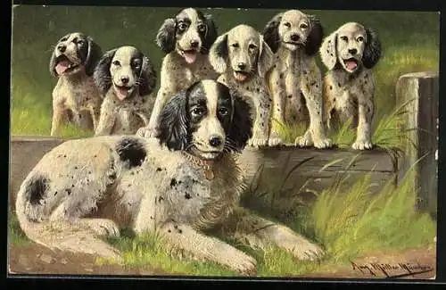 Künstler-AK August Müller - München: Hund mit Welpen