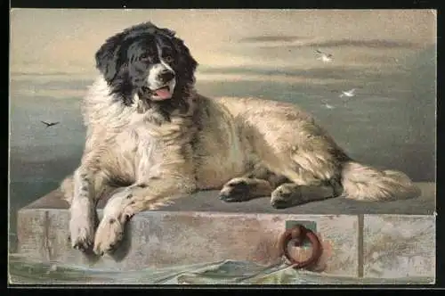 AK Landseer auf einer Stufe