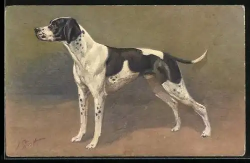 Künstler-AK Jagdhund, Pointer sehr konzentriert