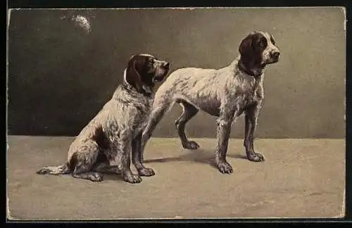 AK Zwei Jagdhunde mit aufmerksamem Blick
