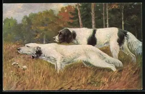 AK Jagdhunde nehmen Witterung auf