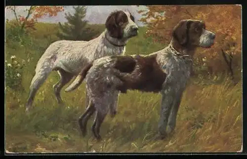 AK zwei Jagdhunde in Wartestellung