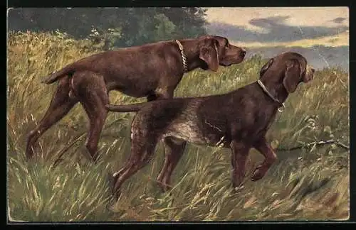 Künstler-AK Zwei Jagdhunde wittern eine Spur