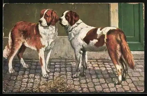AK Zwei Bernhardiner vor einem Gebäude