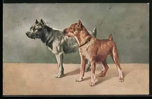 Künstler-AK brauner und grauer Hund stehen nebeneinander