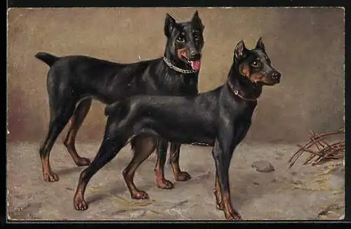AK Zwei Pinscher mit Halsbändern