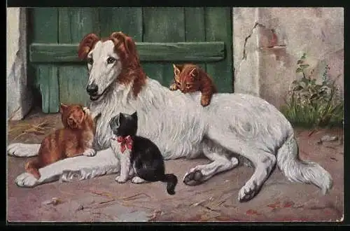 AK Eine Hundedame kümmert sich um kleine Katzen