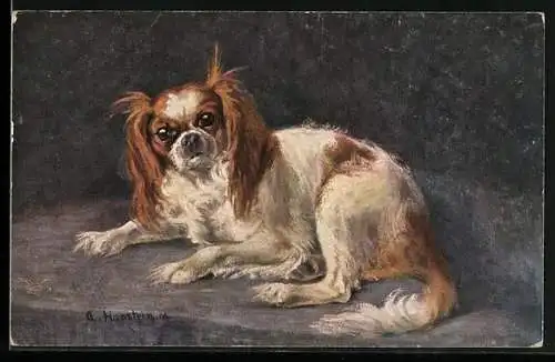 Künstler-AK Blenheim Spaniel in Ruhestellung