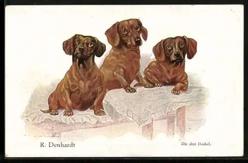 Künstler-AK sign. R. Denhardt: die drei Dackel auf Bank und Tisch