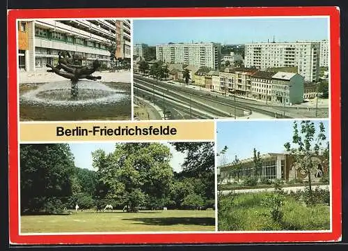 AK Berlin-Friedrichsfelde, Kreuzung der Strasse der Befreiung u. Rhinstrasse, Schwimmhalle am Tierpark, Freigehege