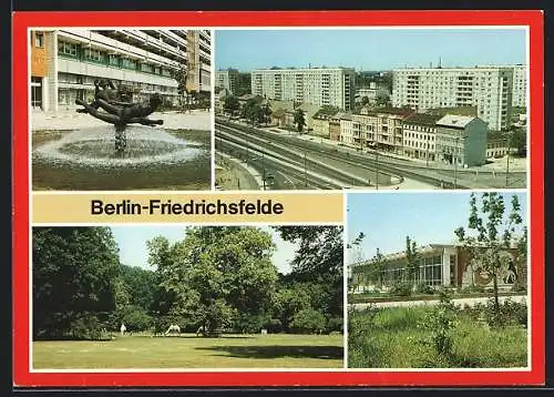 AK Berlin-Friedrichsfelde, Kreuzung der Strasse der Befreiung u. Rhinstrasse, Schwimmhalle am Tierpark, Freigehege