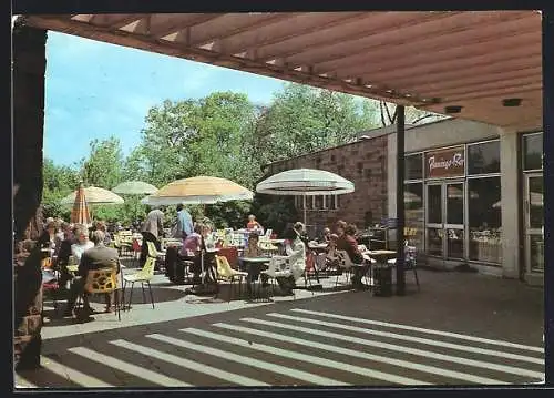 AK Berlin, HO-Grossgaststätte Tierpark Berlin, Auf den Terrassen der Flamingo-Bar
