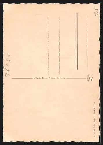 AK Karlsruhe, Partie im Japanischen Garten