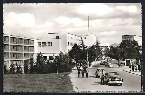 AK Bonn a. Rh., Bundeshaus, Landseite