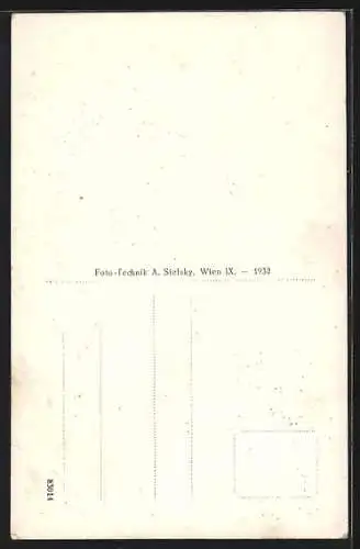 AK Hainburg a. D., Teilansicht aus der Vogelschau