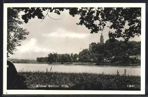 AK Wallsee /N. Oe., Schloss und Flusspartie