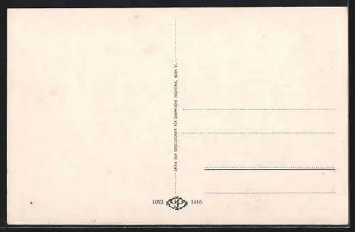 AK Baden /N.-Ö., Blick über die Dächer