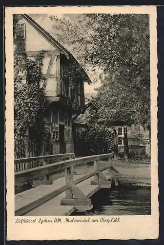AK Lychen, Malerwinkel am Oberpfuhl