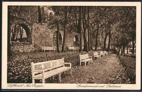 AK Neu-Ruppin, Strandpromenade und Stadtmauer, Parkbänke