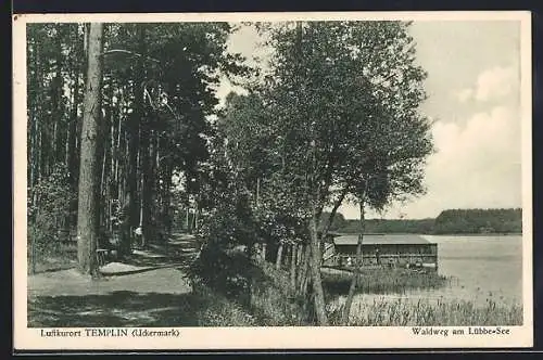 AK Templin / Uckermark, Waldweg am Lübbe-See