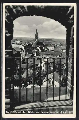 AK Bad Liebenwerda, Blick vom Lubwartturm auf dei Stadt