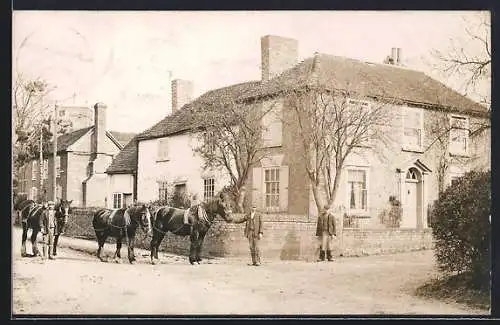 AK Stoulton, Draft Horses on a Street