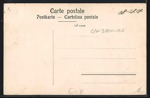 AK Interlaken, Hotel Schwanen, Marktstrasse