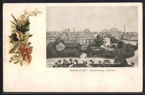 AK Darmstadt, Grossherzogl. Schloss