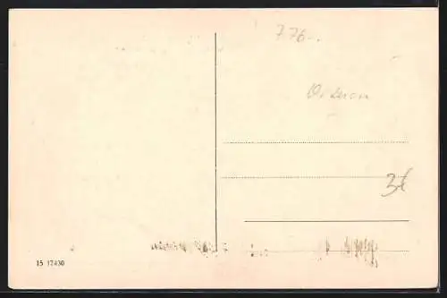 AK Offenburg i. B., Marktplatz, Rathaus, Drake-Denkmal