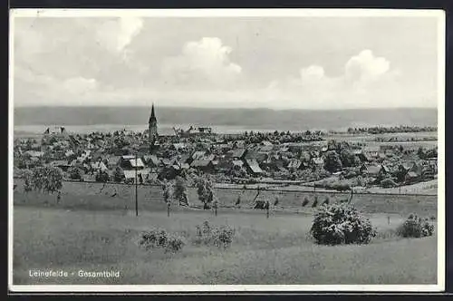 AK Leinefelde, Gesamtbild