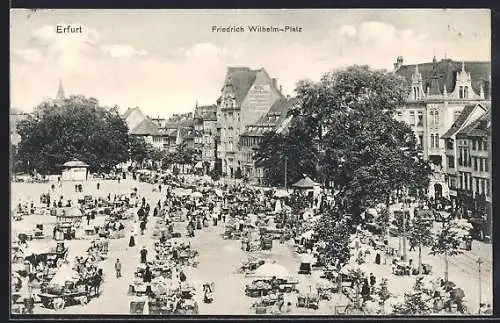 AK Erfurt, Friedrich-Wilhelm-Platz, Markttreiben