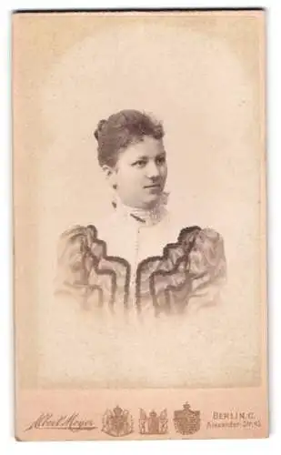 Fotografie Albert Meyer, Berlin, Alexander-Str. 45, Porträt einer Dame mit elegantem Kleid