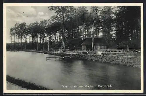 AK Friedrichsbrunn /Harz, Badeteich mit Gebäude