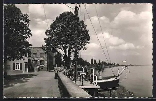 AK Rheindürkheim, Gasthaus zum Hess. Hof P. H. Weber, Rheinstr. 22, Ansicht mit Strasse u. Rheinblick