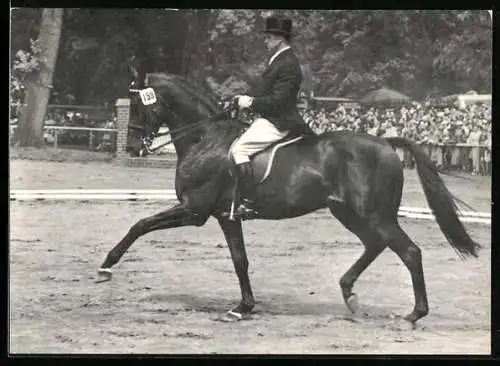 AK Pferd Brilliant unter Willi Schultheis