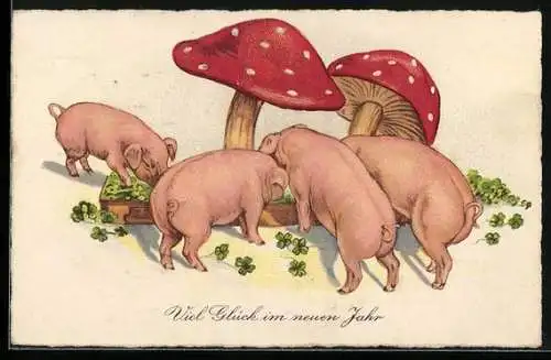 AK Vier Schweine am Glücksklee-Trog, Fliegenpilze, Neujahrsgruss