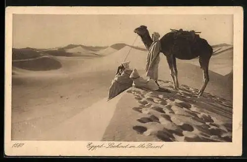 AK Egypt, Lookout in the Desert, Camel