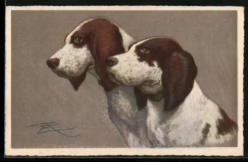 AK Zwei Jagdhunde, Portrait