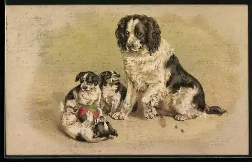 AK Hundemutter mit drei Welpen und Ball